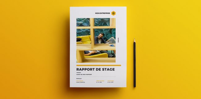 rapport stage gratuit